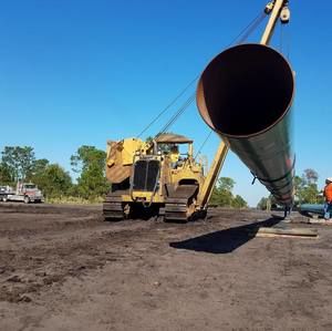 Meet your Posher, Frankey